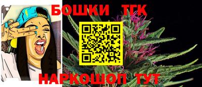 ГАЛЛЮЦИНОГЕННЫЕ ГРИБЫ Кингисепп