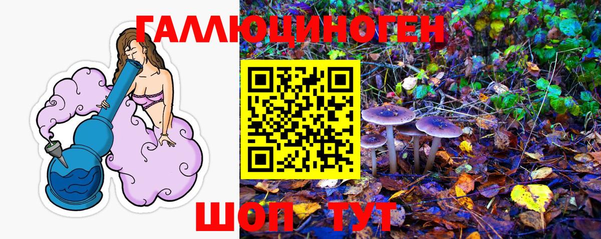 Псилоцибиновые грибы Cubensis Бугуруслан