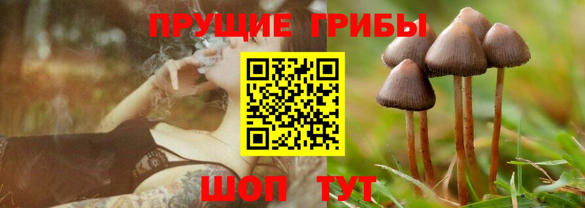 Псилоцибиновые грибы Magic Shrooms  Вход с VPN  купить   Бугуруслан 